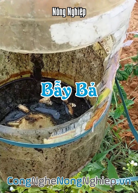 Ảnh bìa sách Bẫy Bả