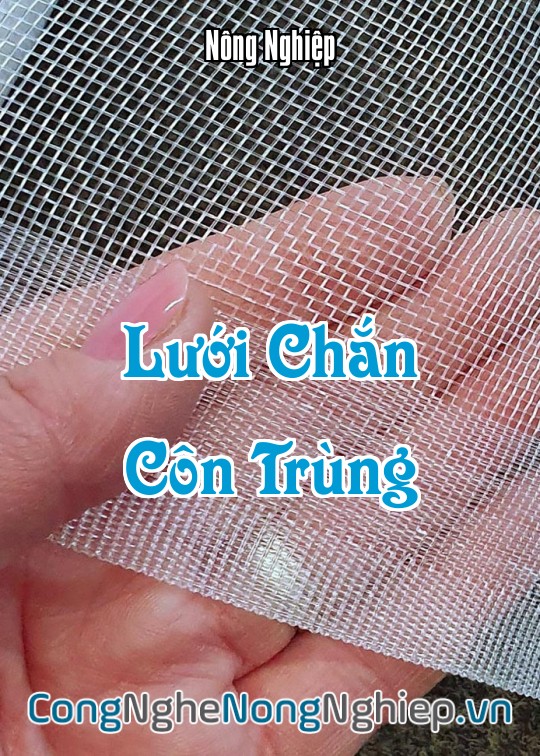 Ảnh bìa sách Lưới Chắn Côn Trùng