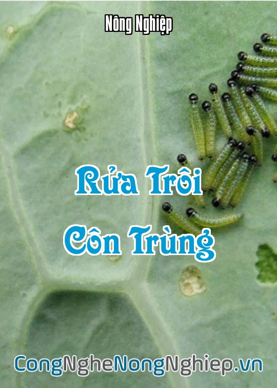 Ảnh bìa sách Rửa Trôi Côn Trùng