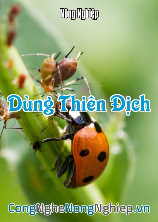 Ảnh bìa sách Dùng Thiên Địch
