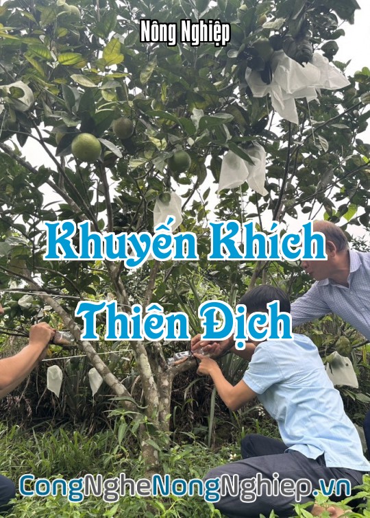 Ảnh bìa sách Khuyến Khích Thiên Địch