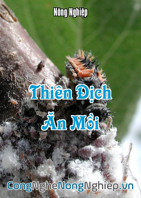 Ảnh bìa sách Thiên Địch Ăn Mồi