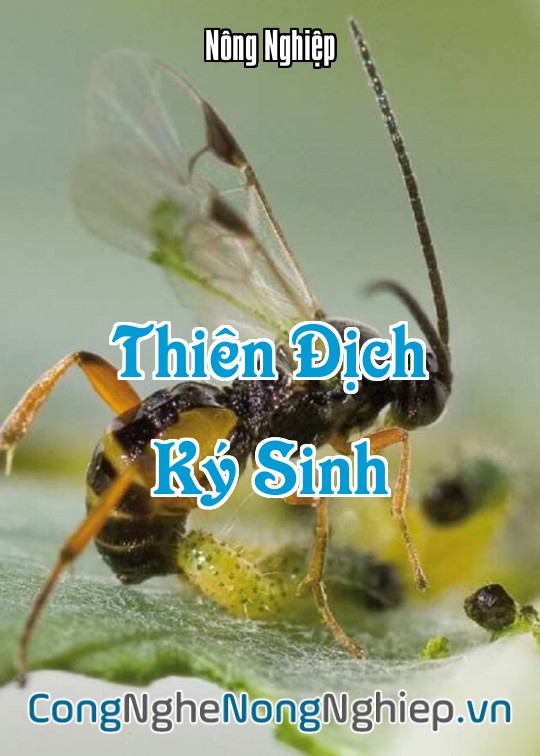 Ảnh bìa sách Thiên Địch Ký Sinh