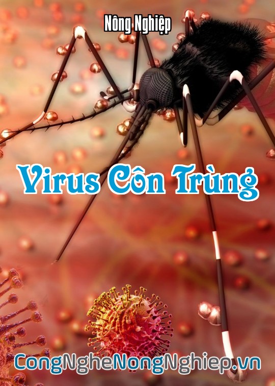 Ảnh bìa sách Virus Côn Trùng