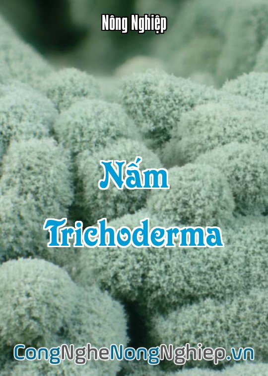 Ảnh bìa sách Nấm Trichoderma