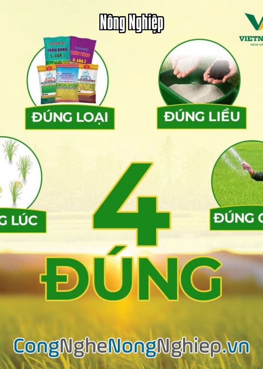 Ảnh bìa sách Tuân Thủ “4 Đúng”