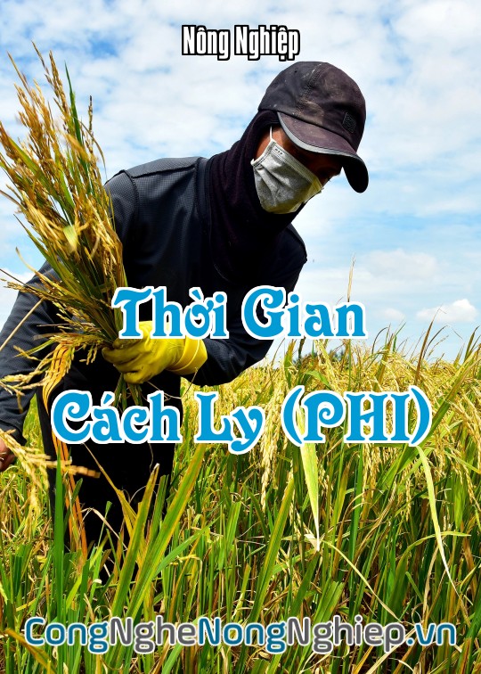 Ảnh bìa sách Thời Gian Cách Ly (Phi)