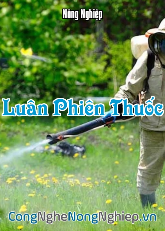 Ảnh bìa sách Luân Phiên Thuốc