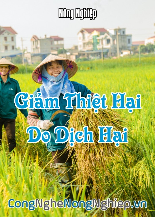 Ảnh bìa sách Giảm Thiệt Hại Do Dịch Hại