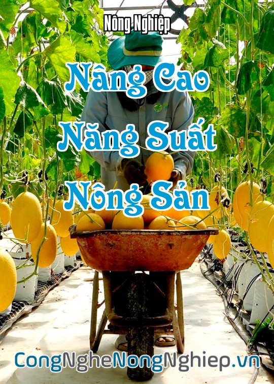Ảnh bìa sách Nâng Cao Năng Suất Nông Sản