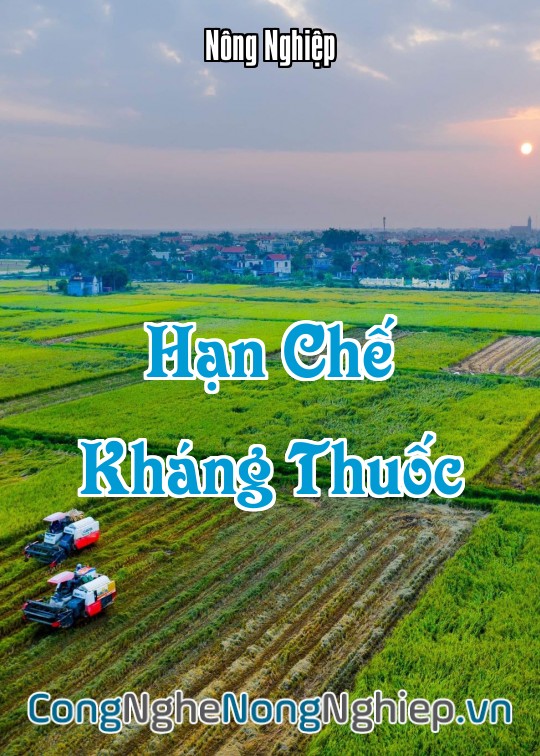 Ảnh bìa sách Hạn Chế Kháng Thuốc