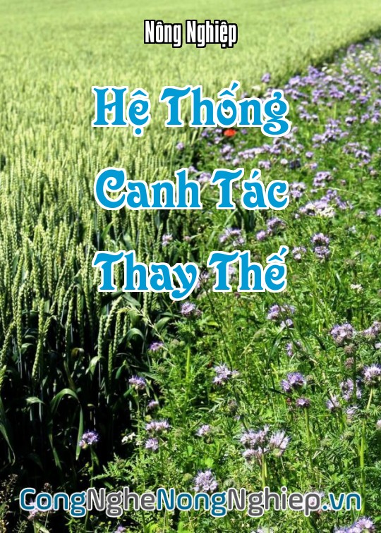 Ảnh bìa sách Hệ Thống Canh Tác Thay Thế