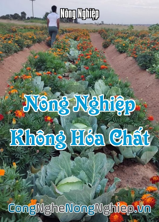 Ảnh bìa sách Nông Nghiệp Không Hóa Chất