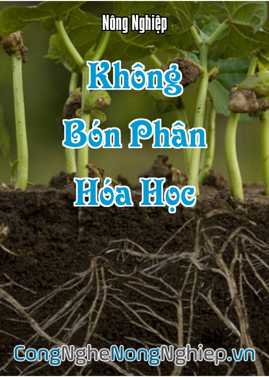 Ảnh bìa sách Không Bón Phân Hóa Học