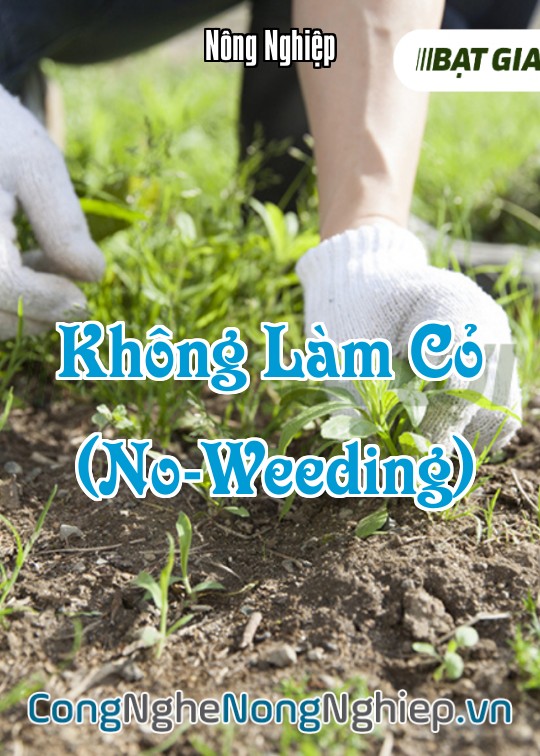 Ảnh bìa sách Không Làm Cỏ (No-Weeding)