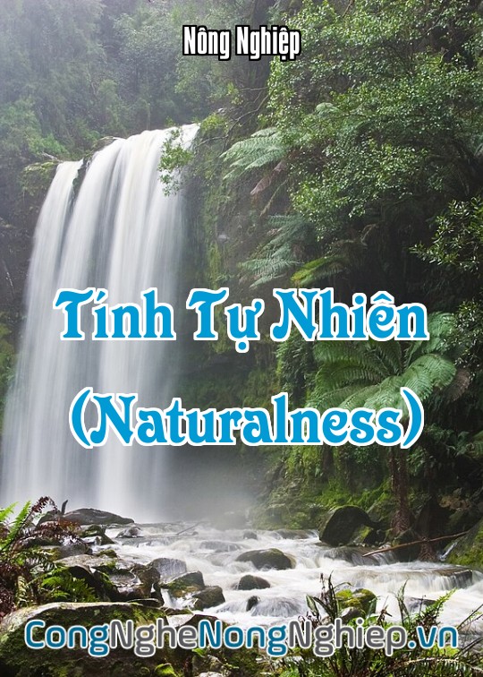 Ảnh bìa sách Tính Tự Nhiên (Naturalness)