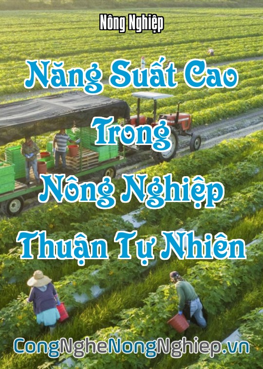 Ảnh bìa sách Năng Suất Cao Trong Nông Nghiệp Thuận Tự Nhiên