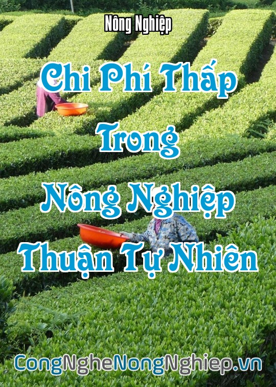 Ảnh bìa sách Chi Phí Thấp Trong Nông Nghiệp Thuận Tự Nhiên