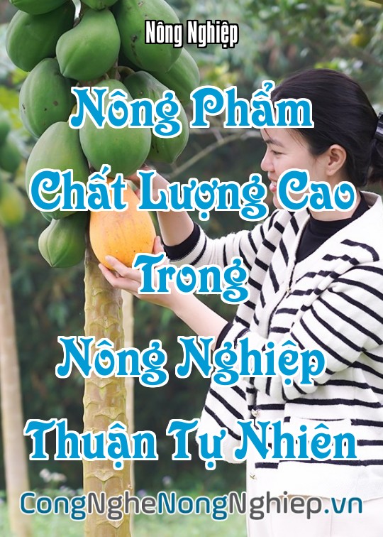 Ảnh bìa sách Nông Phẩm Chất Lượng Cao Trong Nông Nghiệp Thuận Tự Nhiên