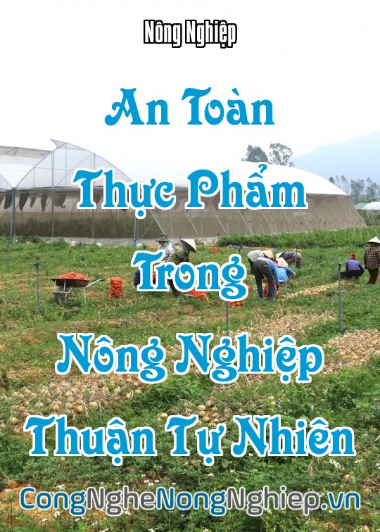 Ảnh bìa sách An Toàn Thực Phẩm Trong Nông Nghiệp Thuận Tự Nhiên