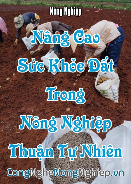 Ảnh bìa sách Nâng Cao Sức Khỏe Đất Trong Nông Nghiệp Thuận Tự Nhiên