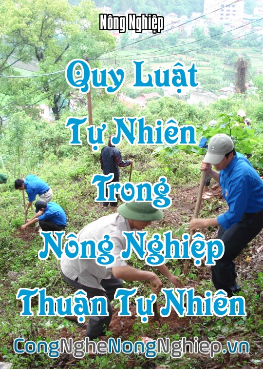 Ảnh bìa sách Quy Luật Tự Nhiên Trong Nông Nghiệp Thuận Tự Nhiên