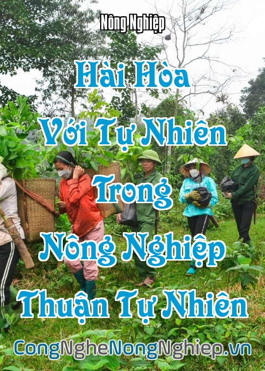 Ảnh bìa sách Hài Hòa Với Tự Nhiên Trong Nông Nghiệp Thuận Tự Nhiên