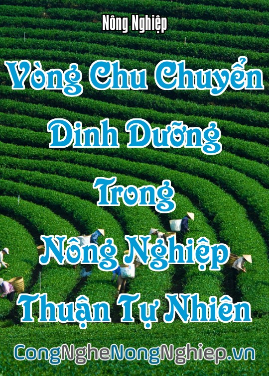Ảnh bìa sách Vòng Chu Chuyển Dinh Dưỡng Trong Nông Nghiệp Thuận Tự Nhiên