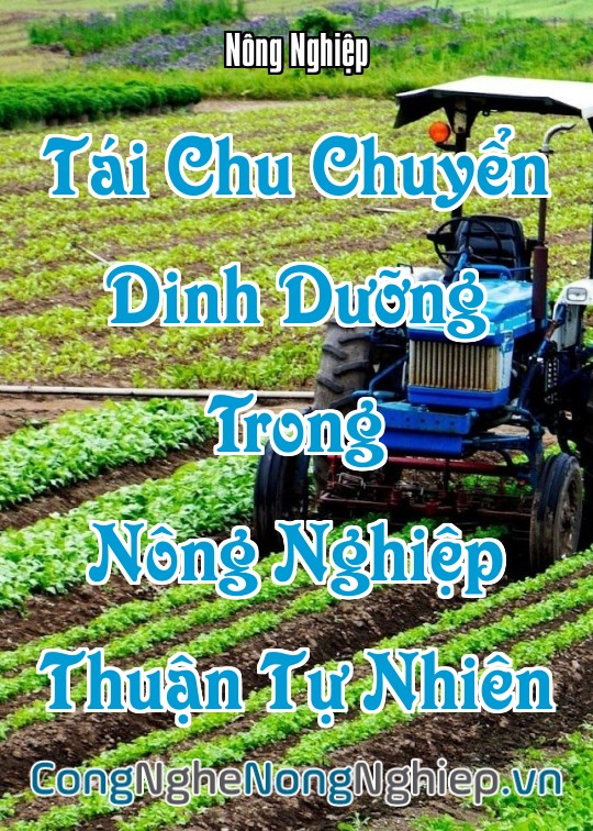 Ảnh bìa sách Tái Chu Chuyển Dinh Dưỡng Trong Nông Nghiệp Thuận Tự Nhiên