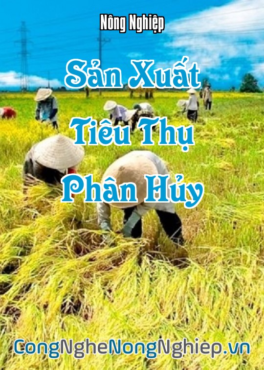 Ảnh bìa sách Sản Xuất - Tiêu Thụ - Phân Hủy