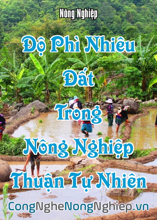 Ảnh bìa sách Độ Phì Nhiêu Đất Trong Nông Nghiệp Thuận Tự Nhiên