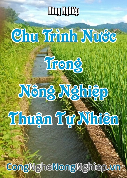 Ảnh bìa sách Chu Trình Nước Trong Nông Nghiệp Thuận Tự Nhiên