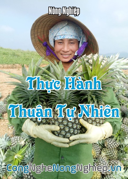 Ảnh bìa sách Thực Hành Thuận Tự Nhiên