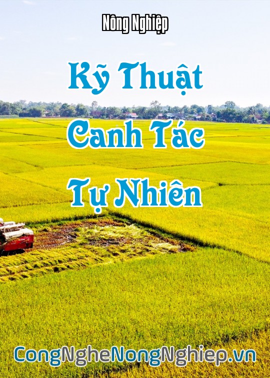 Ảnh bìa sách Kỹ Thuật Canh Tác Tự Nhiên