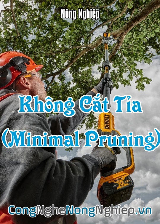 Ảnh bìa sách Không Cắt Tỉa (Minimal Pruning)