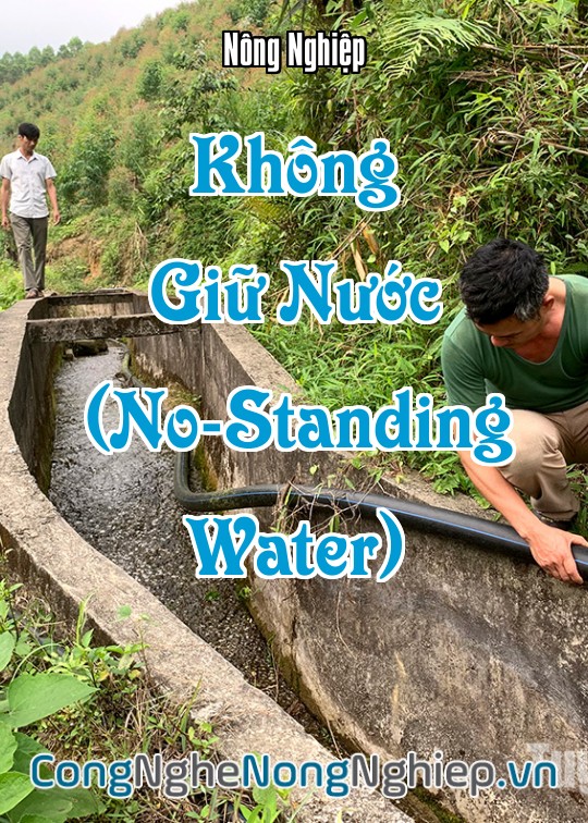 Ảnh bìa sách Không Giữ Nước (No-Standing Water)