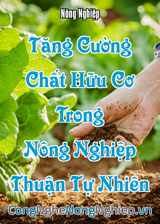Ảnh bìa sách Tăng Cường Chất Hữu Cơ Trong Nông Nghiệp Thuận Tự Nhiên
