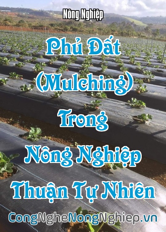 Ảnh bìa sách Phủ Đất (Mulching) Trong Nông Nghiệp Thuận Tự Nhiên