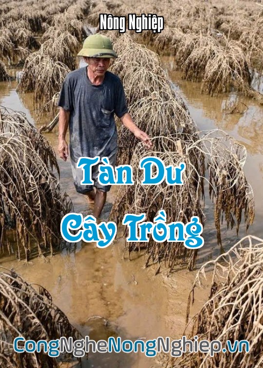 Ảnh bìa sách Tàn Dư Cây Trồng