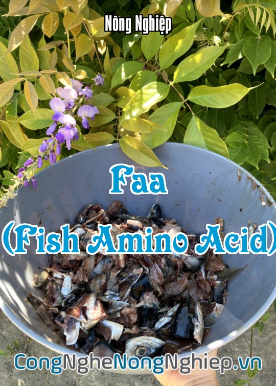 Ảnh bìa sách Faa (Fish Amino Acid)
