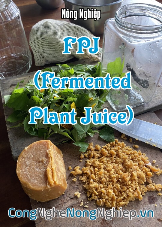 Ảnh bìa sách Fpj (Fermented Plant Juice)