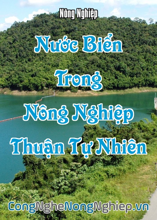 Ảnh bìa sách Nước Biển Trong Nông Nghiệp Thuận Tự Nhiên