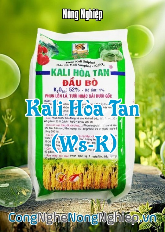 Ảnh bìa sách Kali Hòa Tan (Ws-K)