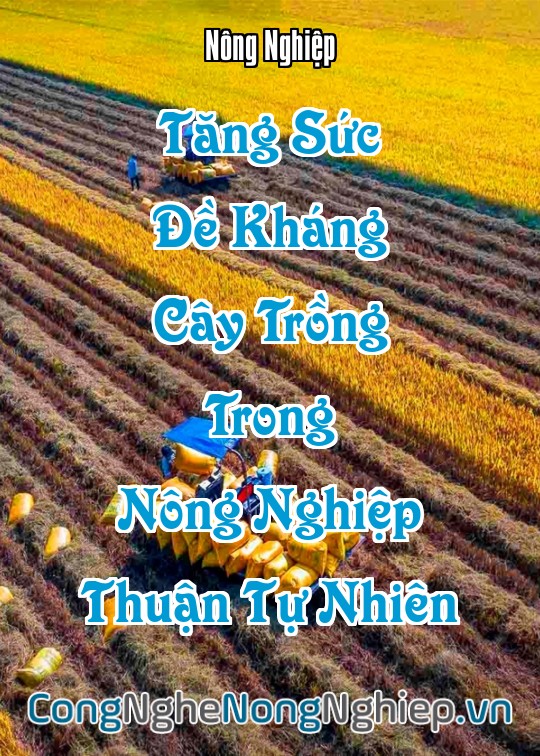 Ảnh bìa sách Tăng Sức Đề Kháng Cây Trồng Trong Nông Nghiệp Thuận Tự Nhiên