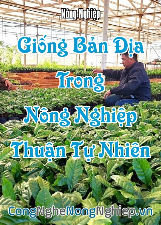 Ảnh bìa sách Giống Bản Địa Trong Nông Nghiệp Thuận Tự Nhiên