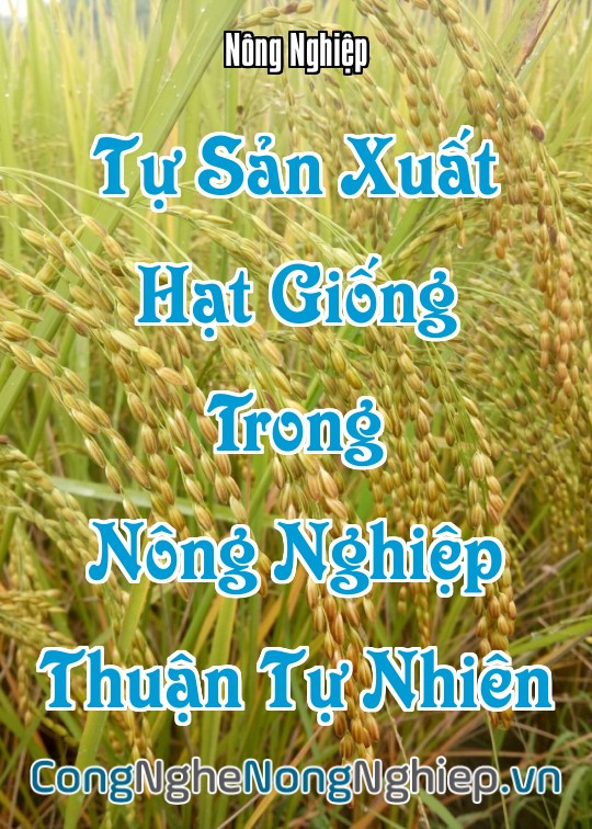 Ảnh bìa sách Tự Sản Xuất Hạt Giống Trong Nông Nghiệp Thuận Tự Nhiên