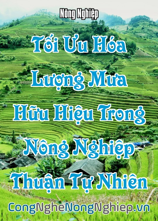 Ảnh bìa sách Tối Ưu Hóa Lượng Mưa Hữu Hiệu Trong Nông Nghiệp Thuận Tự Nhiên