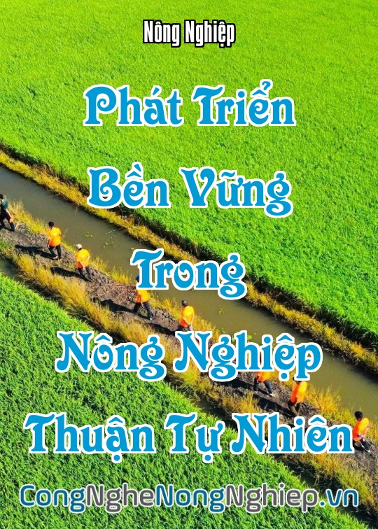 Ảnh bìa sách Phát Triển Bền Vững Trong Nông Nghiệp Thuận Tự Nhiên