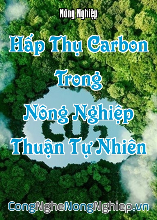 Ảnh bìa sách Hấp Thụ Carbon Trong Nông Nghiệp Thuận Tự Nhiên