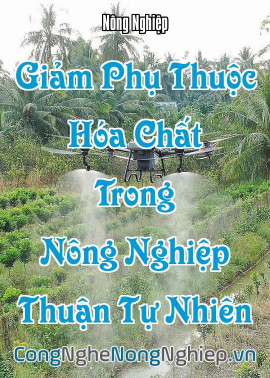 Ảnh bìa sách Giảm Phụ Thuộc Hóa Chất Trong Nông Nghiệp Thuận Tự Nhiên